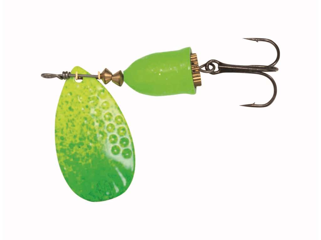Kinetic Gekko Green/Yellow