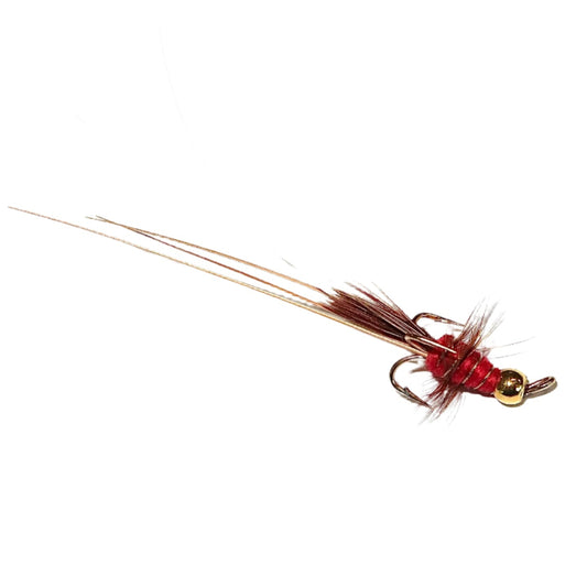 Fishing fly with red and gold details on a white background
