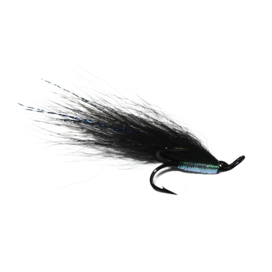 Fishing fly with black body and feathers on a white background