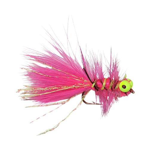 Pink and green fly on a white background