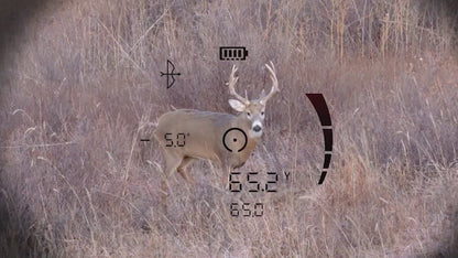 Bushnell Fusion x 10x42mm